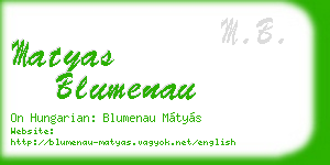 matyas blumenau business card